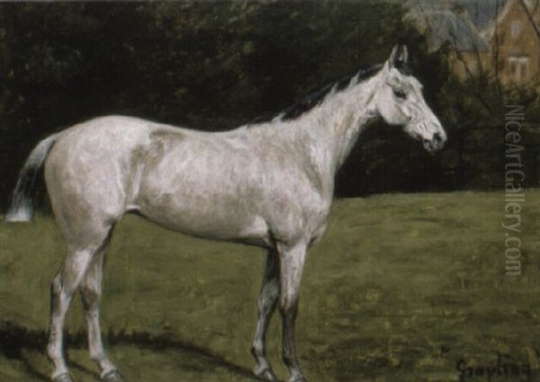 Hunters, Lady Lofty - view 1