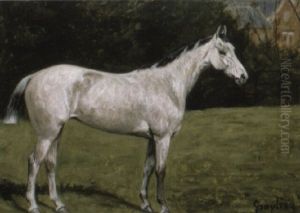 Hunters, Lady Lofty by George Paice