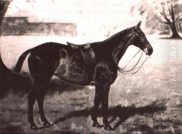 Dark Bay Racehorses - view 1
