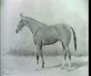 Whiteface by George Paice