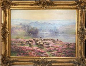 Moutons Dans Les Bruyeres