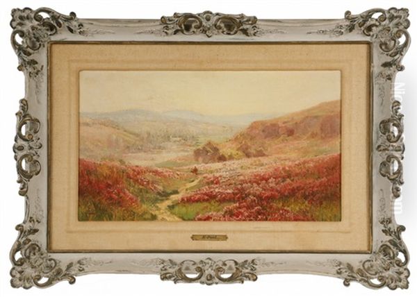 Valley Path Through Heather - view 1