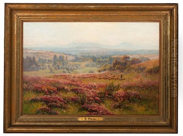 Countryside Landscape - view 1