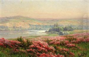 Landscape With Wildflowers