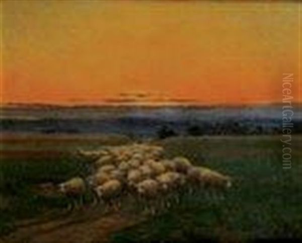 Moutons Au Soleil Couchant - view 1