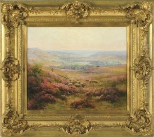 Troupeau De Moutons Dans Un Haut Plateau; Bruyeres En Fleurs