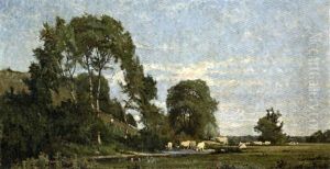 Vaches Aux Paturage