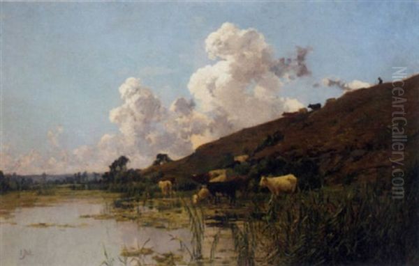 Cattle Watering At The River's Edge - view 1