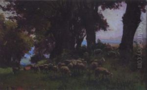 Troupeau De Moutons