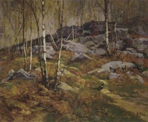 Magpies In A Wood Of Silver Birches