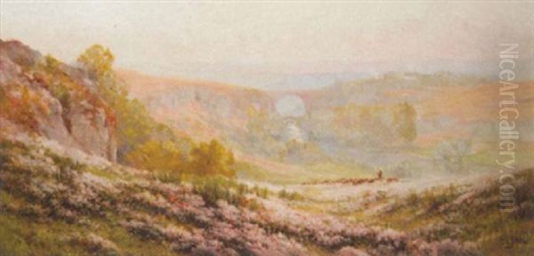 Panoramic Landscape - view 1