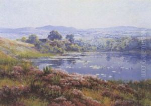 Etang