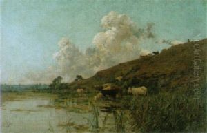 Sommerliche Landschaft Mit Kuhen