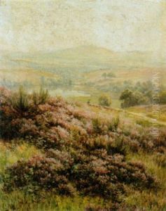 Sommerliche Heidelandschaft Sommerliche Heidelandschaft
