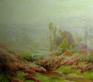 Scotch Heather