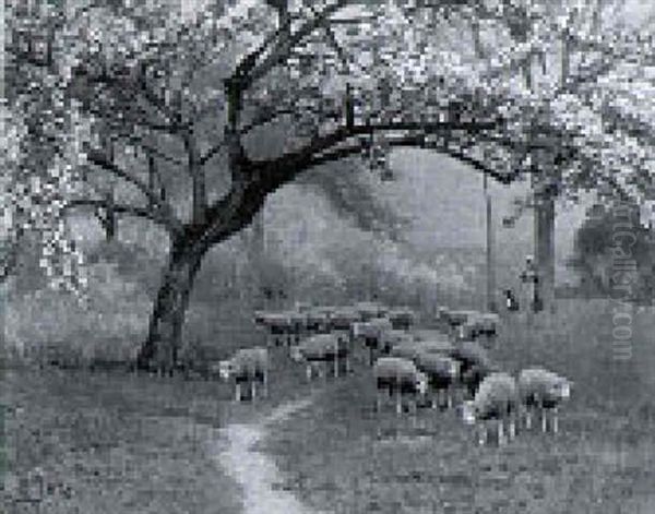 Tending The Flock, Blossom Time - view 1