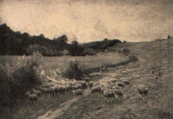 Sheep Grazing Along A Meadow Path - view 1