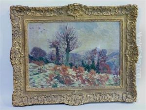 Paysage D'hiver En Creuse