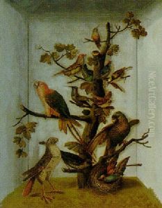 Study Of Parrots And Other Birds In An Aviary by Peter Paillou