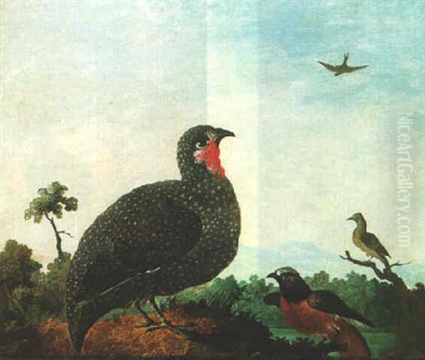 An Assembly Of Birds In A Landscape - view 1