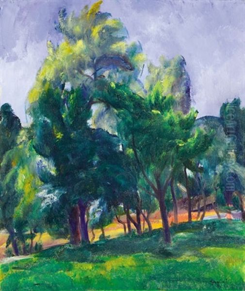 Deciduous Trees - view 1