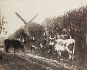 Vaches Et Moulin A Vent Vaches Et Moulin A Vent