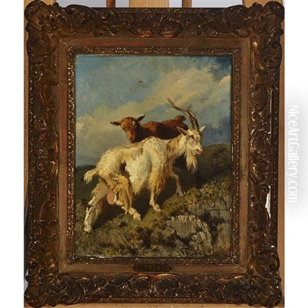 Goat With Kid On A Mountainside - view 1