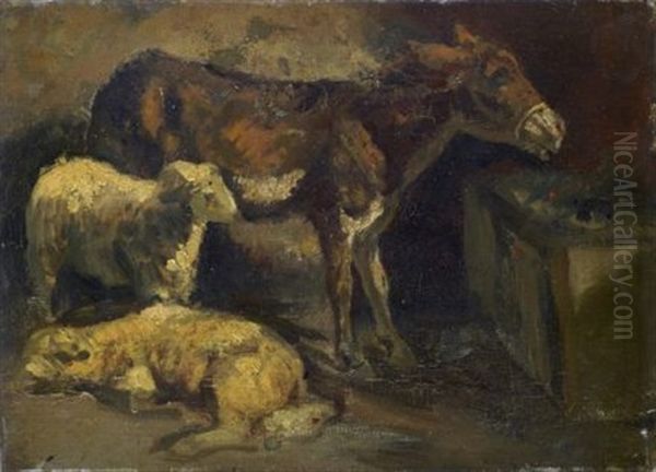 Animali - view 1