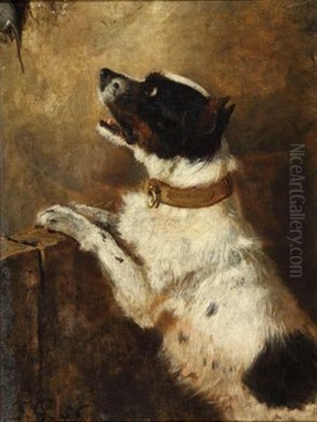 Der Hund Und Die Maus - view 1