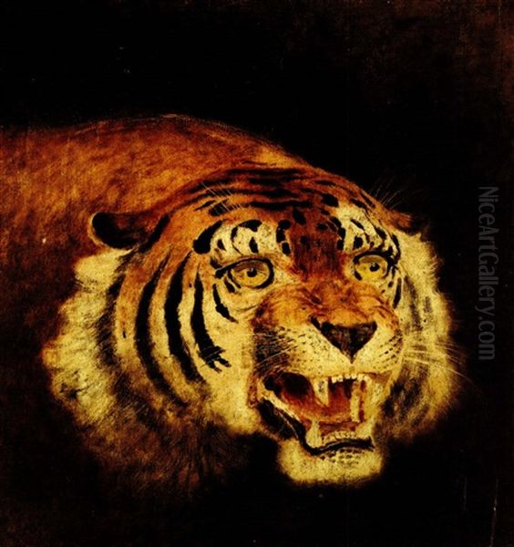 Testa Di Tigre - view 1