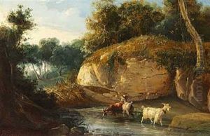 Gedebukke I Et Vandlob Gedebukke I Et Vandlob
