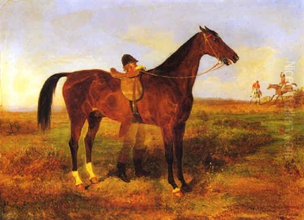 Cavallo E Cavaliere Con Giubba Rossa - view 1