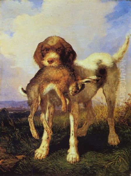 Spinone Con Lepre - view 1