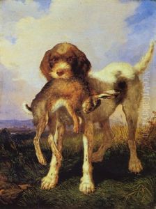 Spinone Con Lepre