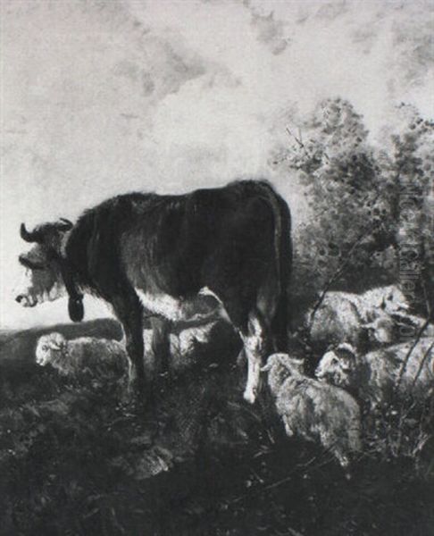Stier Und Schafe Auf Einer Anhohe - view 1