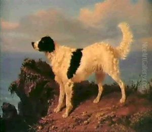 A Dog On A Cliff by Filippo Palizzi