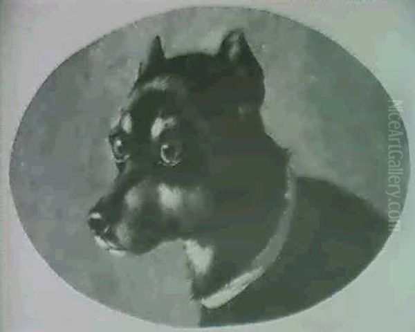 Testa Di Cagnolino - view 1