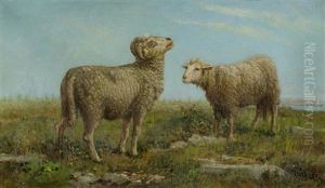 Schafsbock Und Schaf Vor Einer Weiten Seelandschaft Schafsbock Und Schaf Vor Einer Weiten Seelandschaft