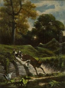 Cani E Cervo Cani E Cervo