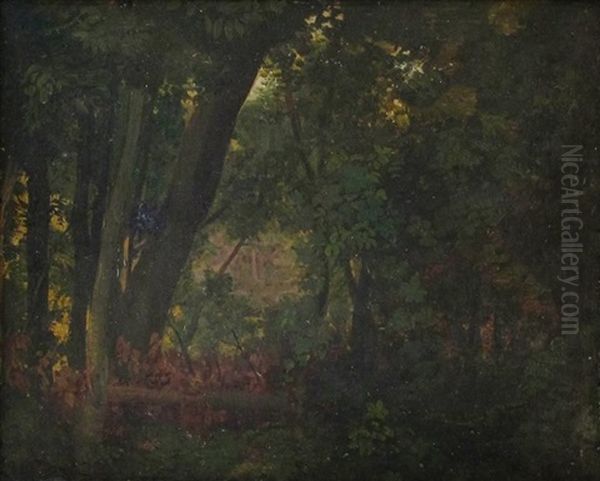 Forest Interior - view 1