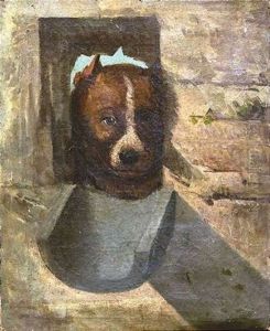 Aus Einer Maueroffnung Schaut Ein Hund Heraus