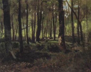 Waldarbeiter Im Sonnendurchfluteten Wald