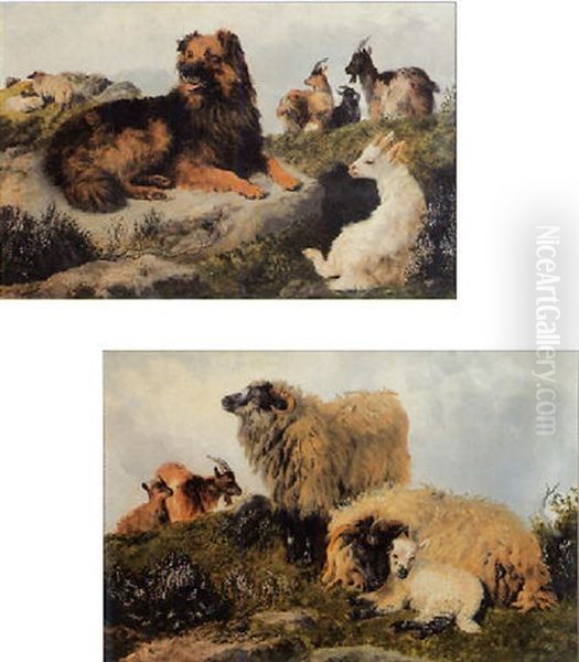Pastorale Landschaft - view 1