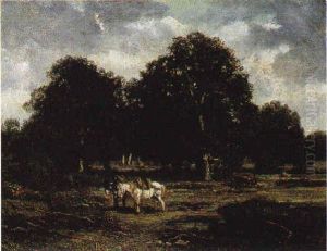 Somarelli Nel Paesaggio