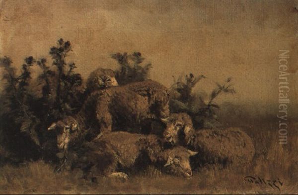 Sheep In A Meadow - view 1