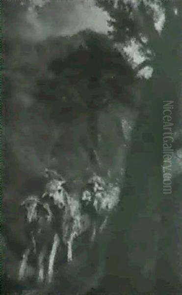 Il Passaggio Delle Pecore - view 1