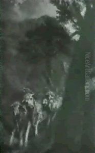 Il Passaggio Delle Pecore Il Passaggio Delle Pecore
