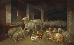 Sheep Sheep