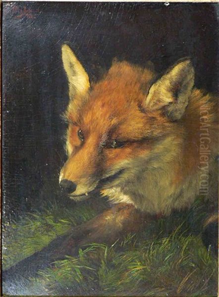 Liegender Fuchs - view 1