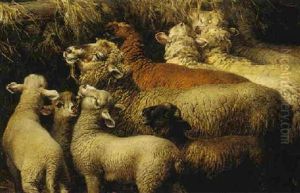 Sheep by Bela Pallik